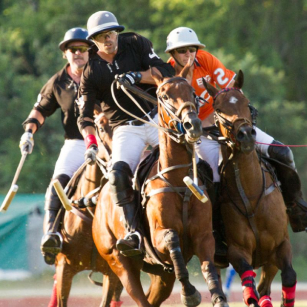 Downtown Rotary friends at the Houston Polo Club
